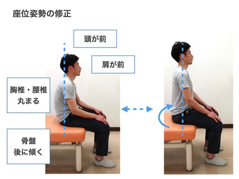 坐位|立位姿勢・座位姿勢の正しい姿勢・良い姿勢をイラス。